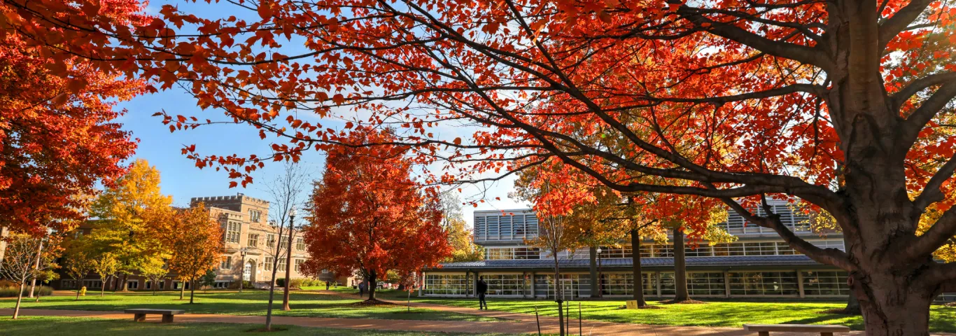 Arts & Sciences shares building project updates, names architect